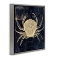 thumbnail image 2 of Stupell Industries Coastal Crab Contour over Map Gray Floating Frame Canvas Art, 25 x 25, by Sasha, 2 of 8