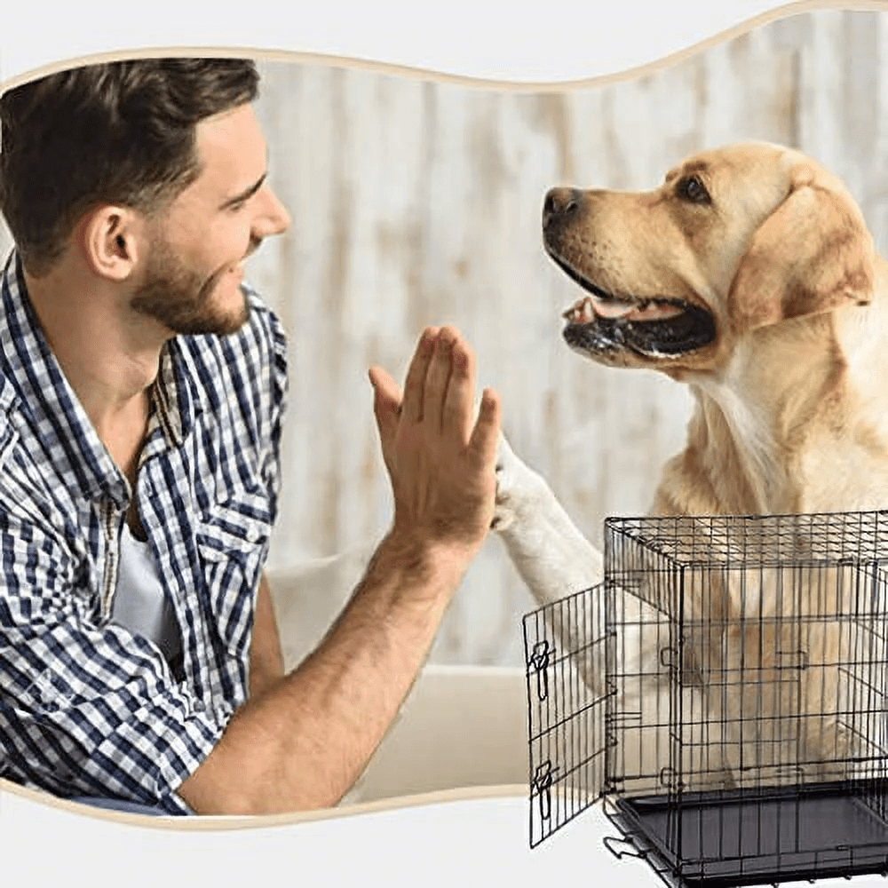 CL.HPAHKL 36 Inch Double-Door Dog Crates for Medium Small Dogs, Portable Folding Metal Dog Cage, Indoor and Outdoor Dog Kennels with Divider Panel, Leak-Proof Pan, Locks, Handle, Black