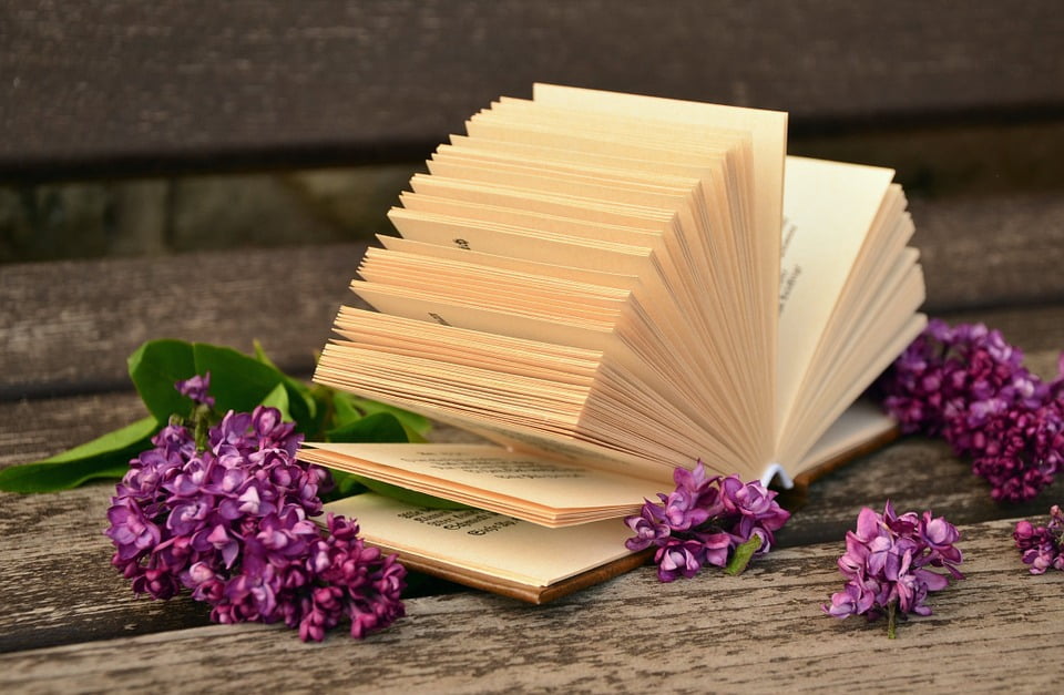 Красивое изображение книги