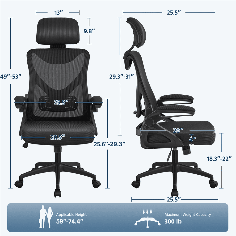 Renwick Set of 2 High Back Office Chair Computer Chair for Adult, Black