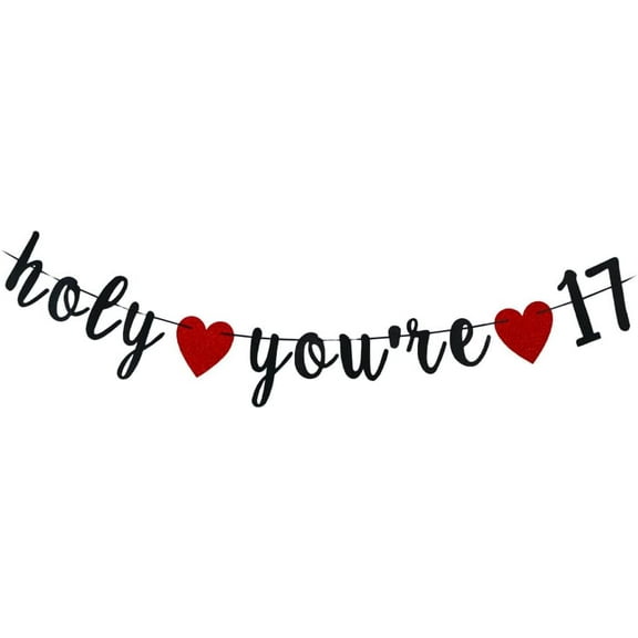 Holy You're 17 -Happy 17th Birthday Party Decorations/ 17 Years Anniversary Sign, Decor Supplies for Her or Him/Girl or Boy Turning 17 Years Old Party Props