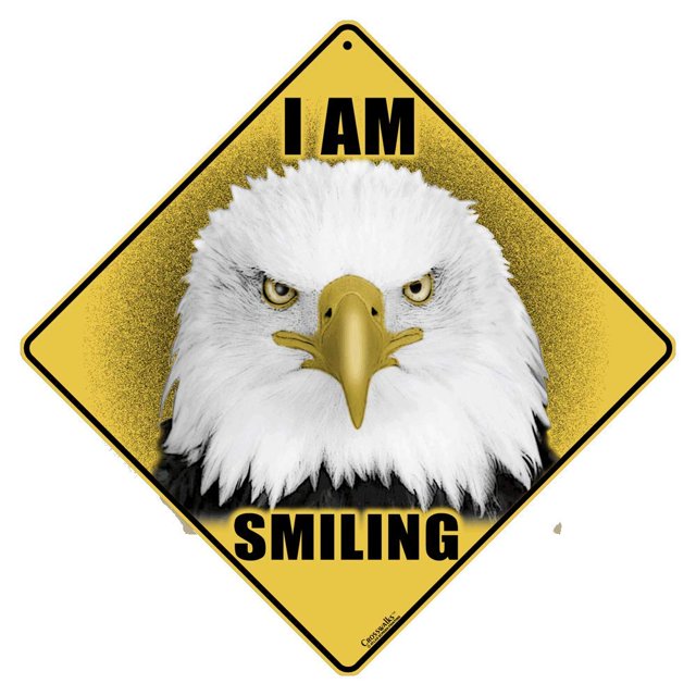 CROSSWALKS I Am Smiling Eagle 12" X 12" Aluminum Sign (X448)