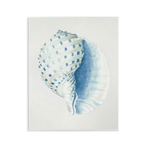 Stupell Industries Spotted Conch Shell Animals & Insects Painting Unframed Art Print Wall Art, 11 x 14