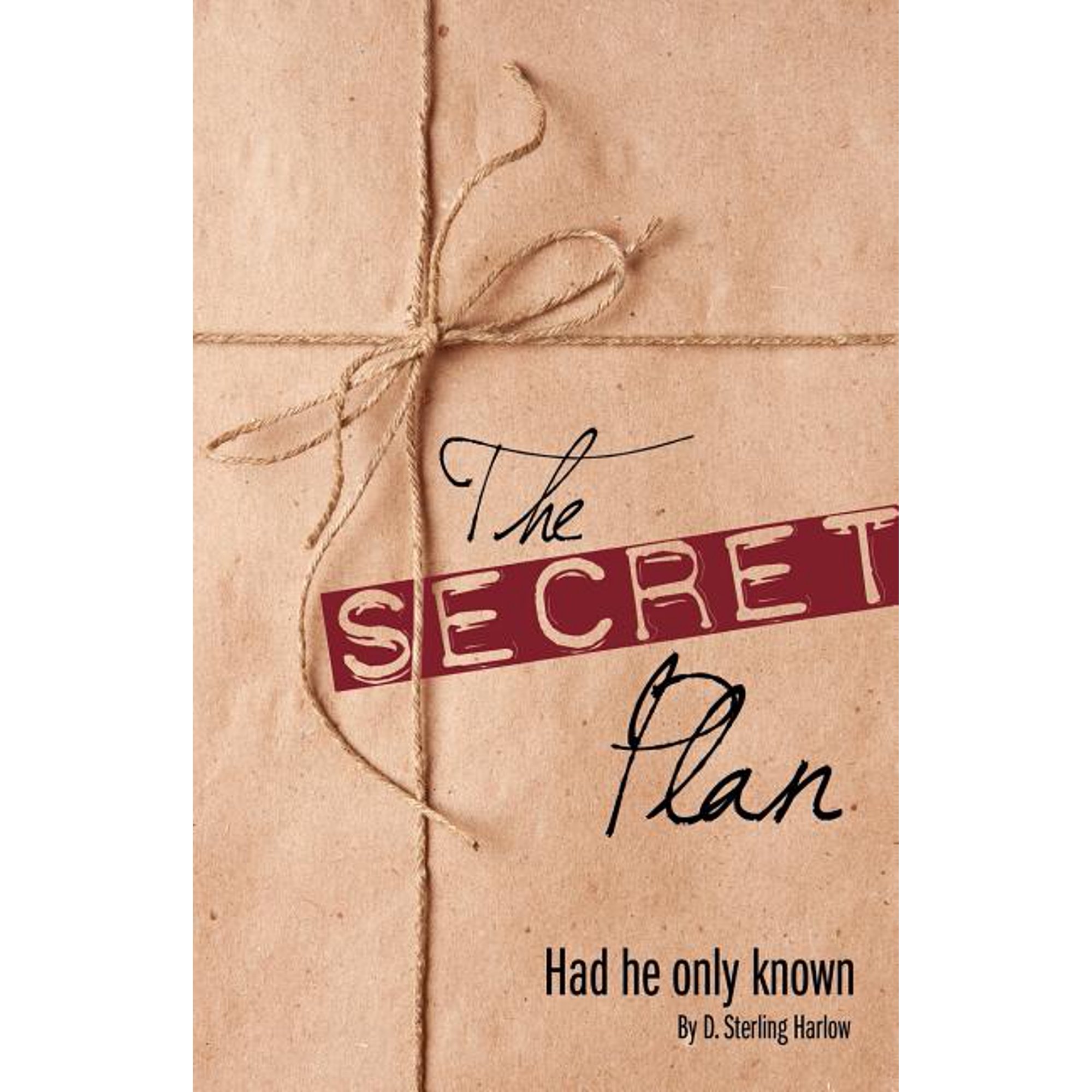 The Secret Plan (Paperback)