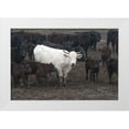 thumbnail image 1 of Murdock, Ramona 32x23 White Modern Wood Framed Museum Art Print Titled - White Steer, 1 of 4
