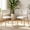 Set of 2-Natural, variant on WIRRYTOR Modern Upholstered Dining Chairs Set of 2, Metal Frame Kitchen Chairs with Wood Look, Barrel Back Velvet Chairs for Dining Room, Walnut