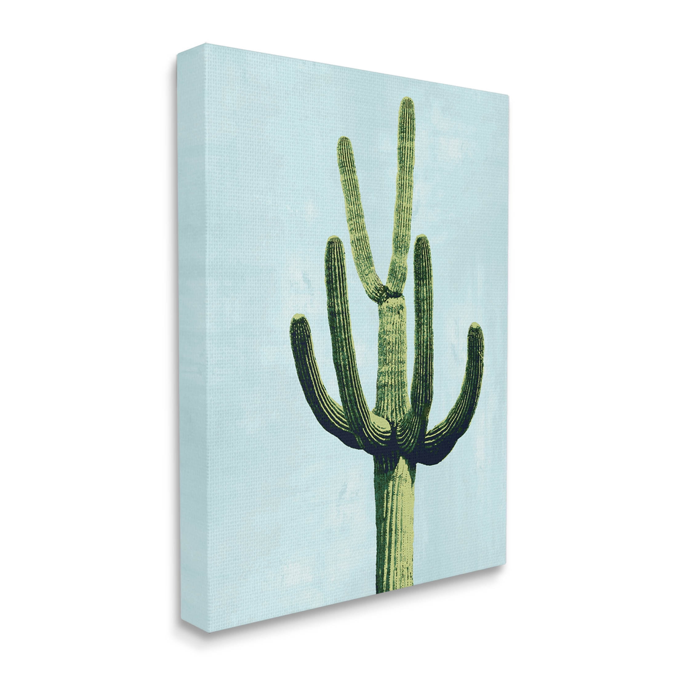 Cactus Plant Arid Vegetation Botanical & Floral Graphic Art Gallery Wrapped Canvas Print Wall Art
