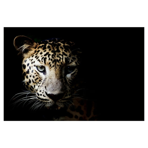 Masterpiece Art Gallery In the Shadows Leopard By Belle Maison Canvas Art Print 24" x 36"