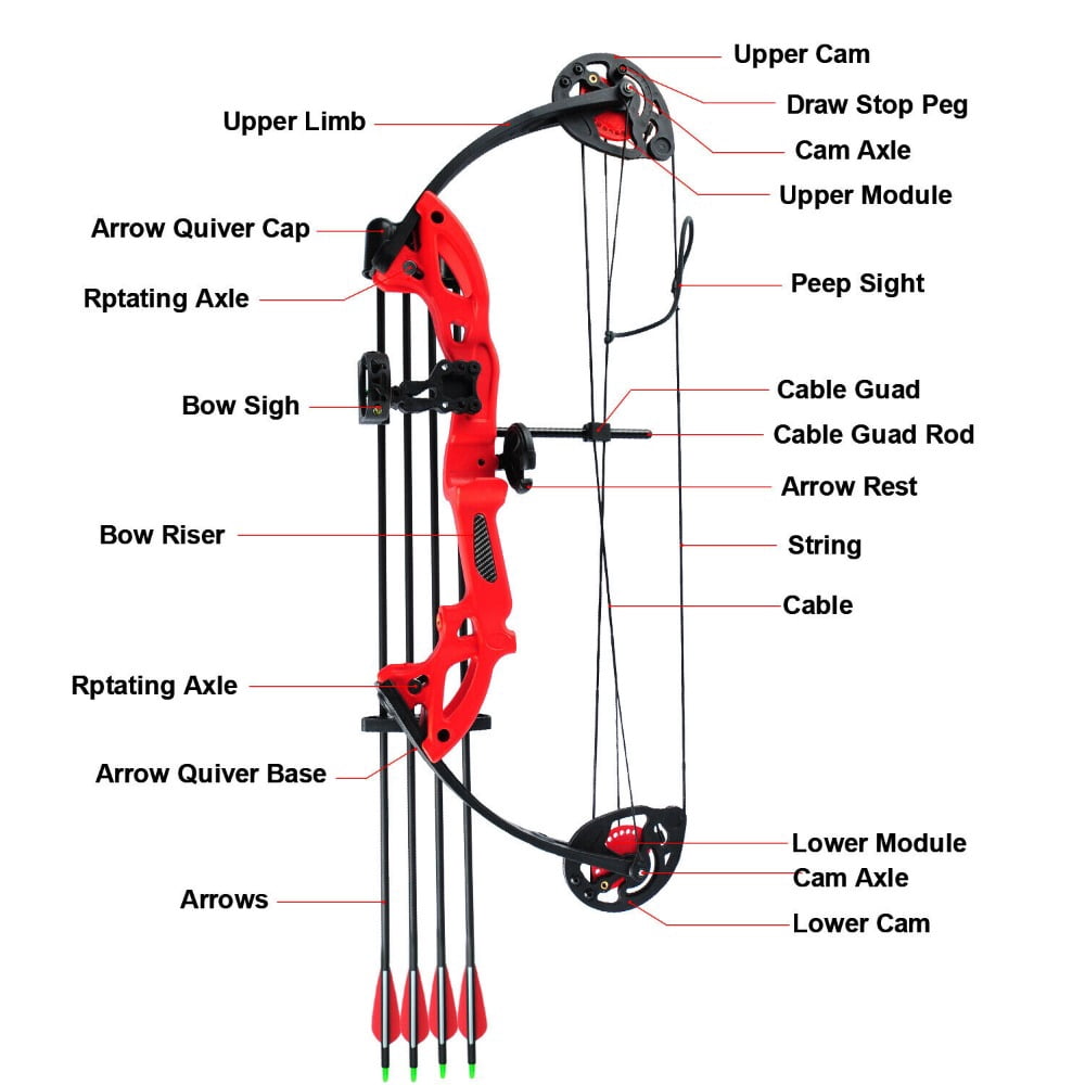 EROCK Compound Bow Kit W/4pcs Arrows Right Hand Target Practice Hunting Youth 15-29lbs