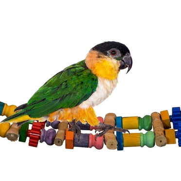 Super Bird Creations SB1157 Bamboo Bridge Bird Toy for Parrots, Ringnecks, Conures, Quakers, Caiques, Senegals, Amazons, African Greys, Eclectus - Bamboo Steps - Medium/Large Bird Size, 25 x 5.5
