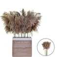 thumbnail image 4 of 10pcs Dried Grass Feathers Natural Dried Reed Flowers Bouquet Arrangements for Wedding Vase Holder Garland Home Decor - Nature, 5cm 50-60cm, 4 of 8