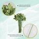 thumbnail image 3 of 50pcs Artificial Fake Rose Flower Stems For Bouquet Flower Leaf, 3 of 5