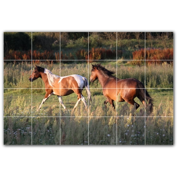 Picture-Tiles.com: Horse Ceramic Tile Wall Mural WAL500752-64S. 25.5"W x 17"H using (24) 4.25" x 4.25" Ceramic Tiles-Satin Finish