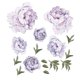 thumbnail image 1 of Pegatinas de pared de flores de peonía, pegatinas de pared florales de flores, delicados carteles de pared de flores moradas, papel de pelar y pegar, decoración de habitación extraíble compatible con Afortunado Sencillez, 1 of 5