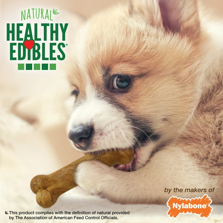 Nylabone Healthy Edibles Puppy Treats Chew Bones in Beef Bacon Turkey Apple Petite Walmart
