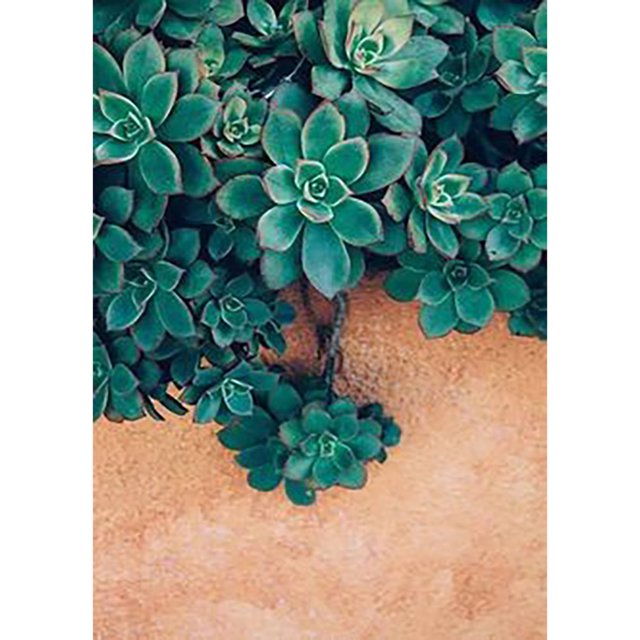 Pintura de diamante (DB3124) 5D DIY cuadrado planta suculenta punto de cruz artesanía 20X30cm Hugtrwg Para estrenar