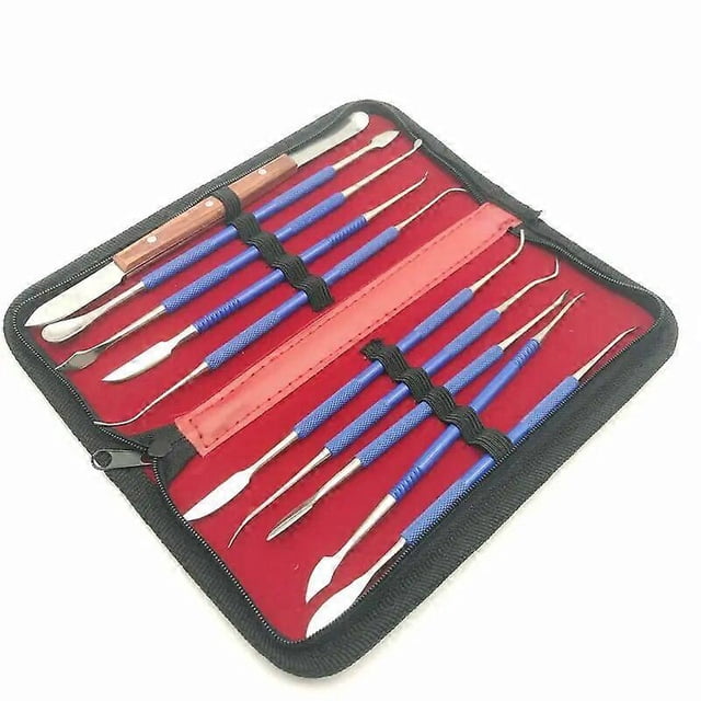 10Pcs Dental Stainless Steel Wax Carving Tool Set Dentist Sculpture Knife Dentistry Instrument Dental Lab