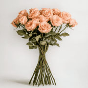 Globalrose Fresh Cut Flowers 12 Peach Roses, Green
