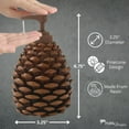 thumbnail image 2 of Park Designs Pine Bluff Rustic Pinecone Soap Dispenser, 2 of 5