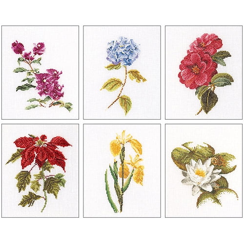 Thea Gouverneur Counted Cross-Stitch Kits, Floral Studies 7, Set of 6