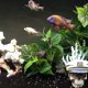 thumbnail image 2 of Aquarium Artificial Plant Plastic Plant - Fish Tank Lifelike Underwater Green Grass Plastic Plant, 10inch, 2 of 5