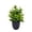 Green#03, variant on Linnome Artificial Green Plants Potted Fake Foliage Shrubs with Dark Pots Mini Faux Greenery for Desk Shelf Indoor Home Tabletop Decor