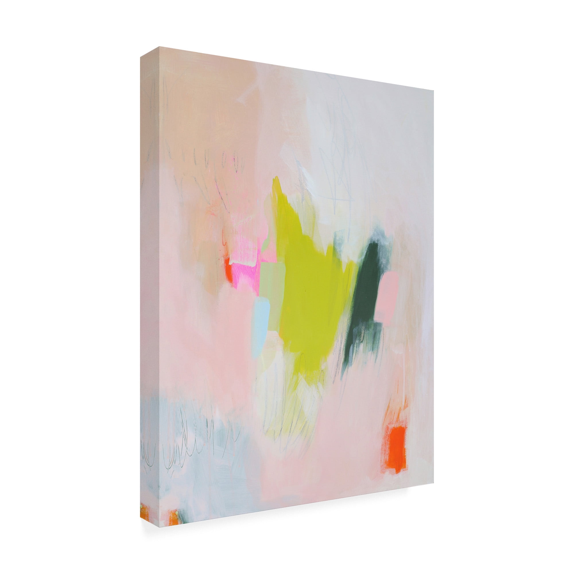 Trademark Fine Art 'Lucia' Canvas Art by Melissa Donoh