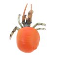 thumbnail image 1 of Plastic Pagurian Model Toy Realistic Marine Animal Model Plastic Model Toy Decor, 1 of 9