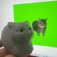thumbnail image 5 of Oiia Oiia Cat Toy Oiia Oiia Cat Oiia Oiia Cat Toy Juguete giratorio Juguete novedoso giratorio y caprichoso Escritorio para niños y adultos Juguete antiestrés, 5 of 8