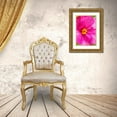 thumbnail image 3 of Engelbrecht, Lisa S. 11x14 Gold Ornate Wood Framed with Double Matting Museum Art Print Titled - Pink Begonia, 3 of 4