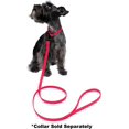 thumbnail image 5 of DogLine - Biothane Waterproof Dog Leash Strong Coated Nylon Webbing with Black Hardware Odor-Proof for Easy Care Clean High Performance for Small or Large Dogs(Neon Pink: Width 3/4" | L: 72"(6ft)), 5 of 7