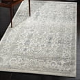 thumbnail image 1 of Sofihas Boho Area Rugs, Blue/Beige Modern Area Rug, 3'x5' Low Pile Area Rug, 1 of 1