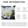 thumbnail image 6 of Nawypu  Throw Pillow Cover 2pcs - Begonias Flowers White Bright Begonia Eyes of God 12x12in, 6 of 6