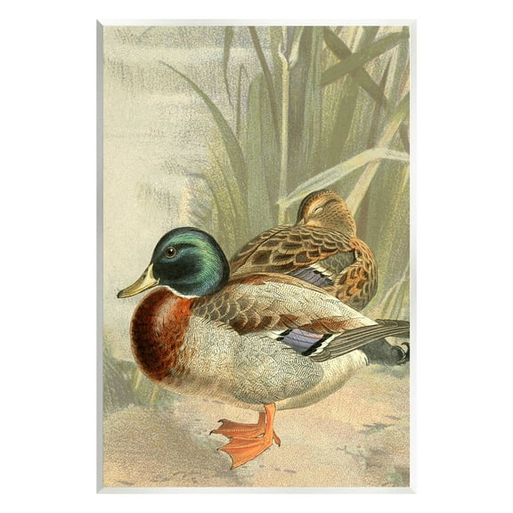 Stupell Industries Pond Ducks Relaxing Animals & Insects Painting Unframed Art Print Wall Art, 10 x 15