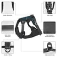 thumbnail image 6 of Fotbe Farm Dog Duck Moonlight Pattern Dog Harness, No-Pull Pet Harness with 2 Leash Clips, Adjustable Soft Padded Dog Vest with Easy Control Handle for Large Dogs-Large, 6 of 6
