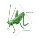 thumbnail image 2 of Figura de saltamontes de aluminio, juguete de saltamontes, adorno cognitivo de langosta, 2 of 8