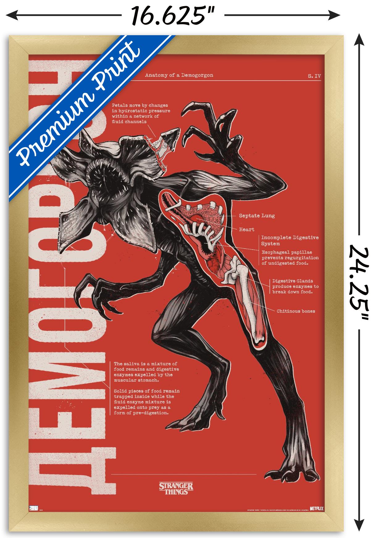 Netflix Stranger Things: Season 4 - Demogorgon Anatomy Wall Poster