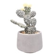 thumbnail image 2 of Planta Mainstays Artificial con Maceta Gris, 2 of 4