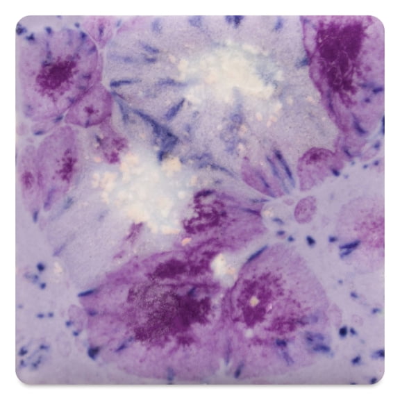 Mayco Jungle Gems Crystal Glaze - Purple Reign, Pint