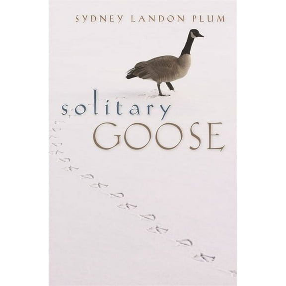 Solitary Goose, (Paperback)