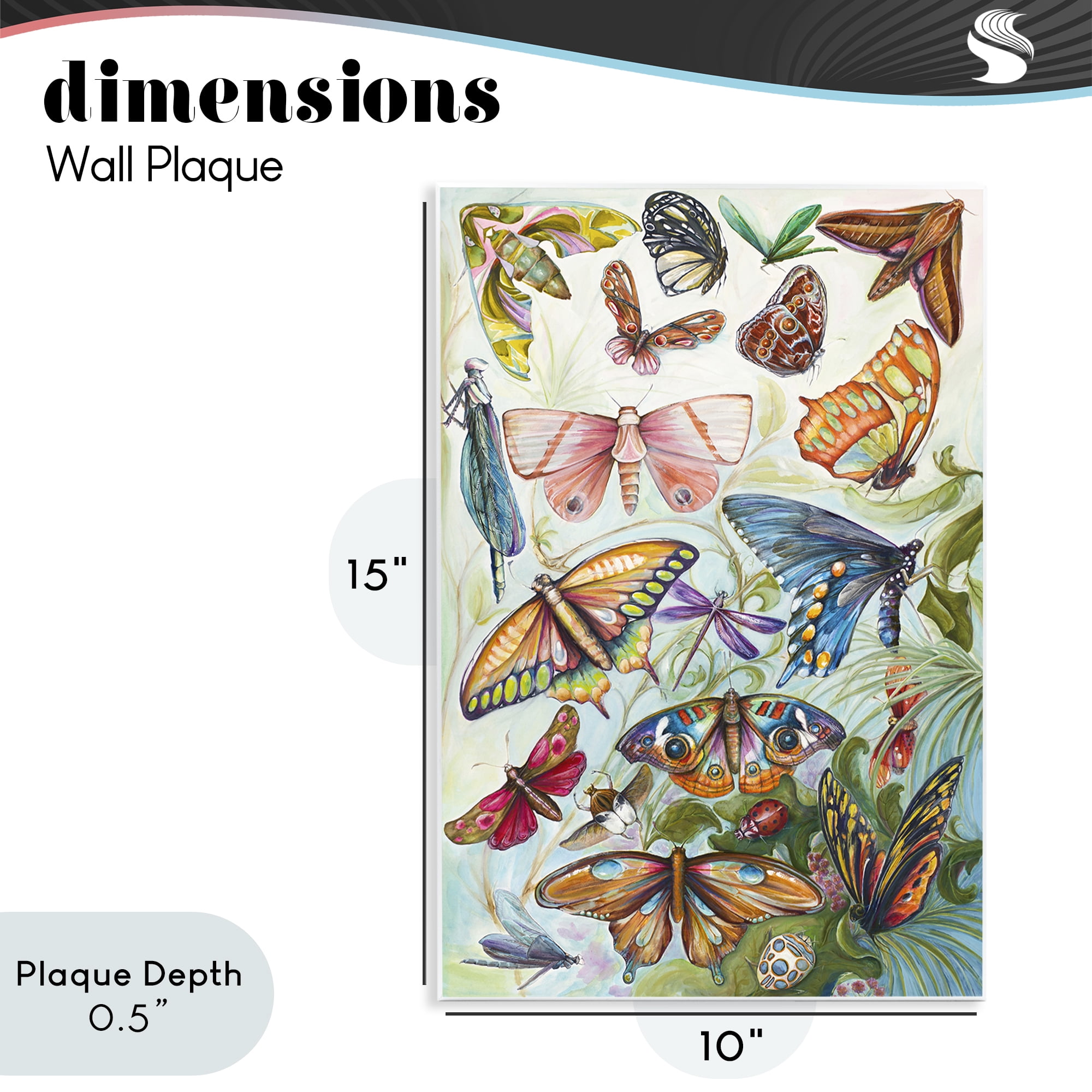 Stupell Industries Colorful Butterfly Conservatory Wall Plaque Art, design by Diannart