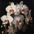 thumbnail image 1 of Fleurs de Pureté - Peinture Diamant DIY, 1 of 6