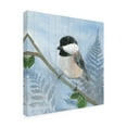 thumbnail image 2 of Trademark Fine Art 'Eastern Songbird II' Canvas Art by Alicia Ludwig, 2 of 3
