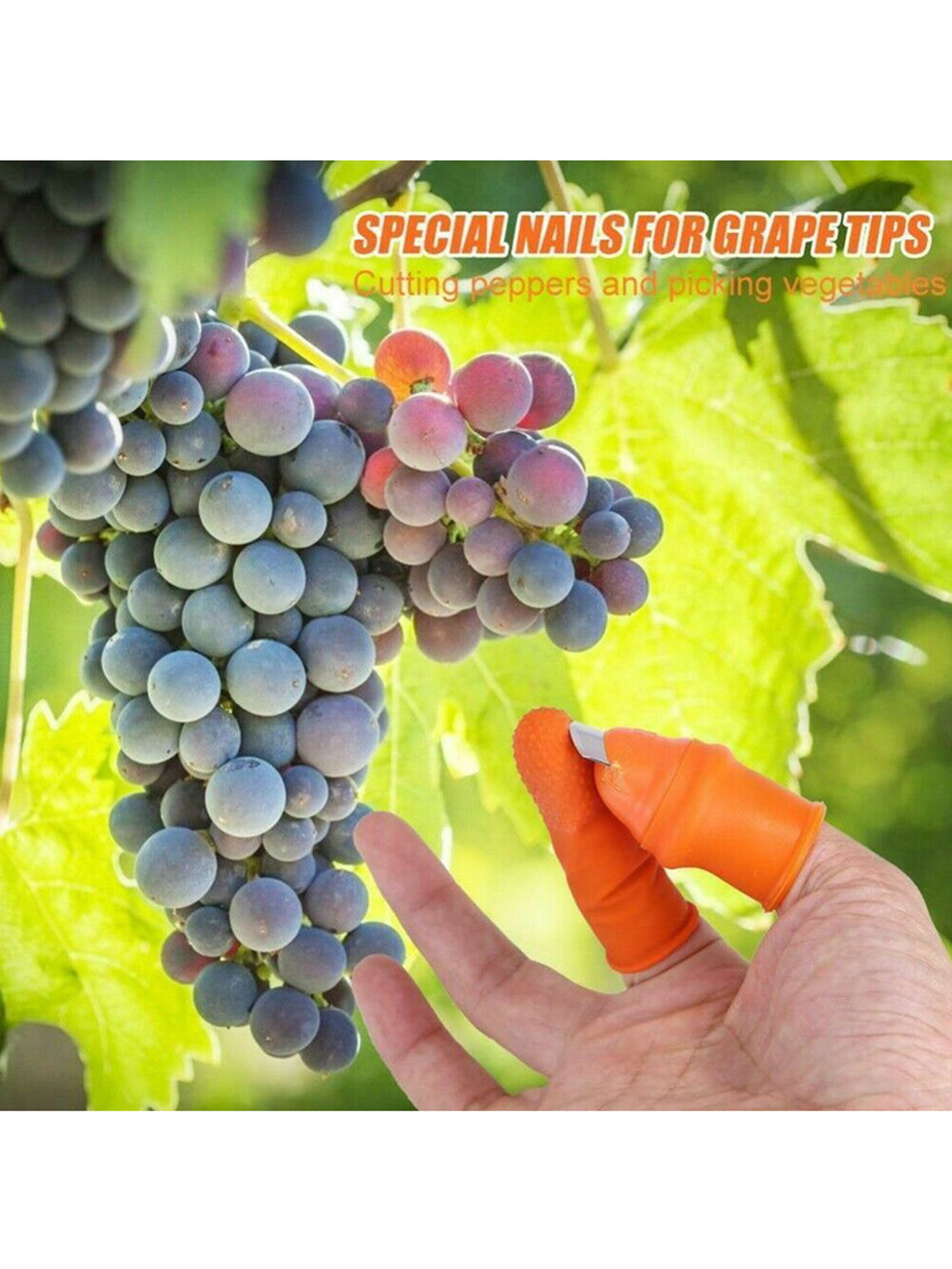 New Agricultural Pluck Device Finger Thumb Cut Vegetable God Cutting tool J7Q9 