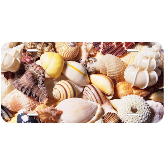 Sea Shell Novelty Car Auto License Plate