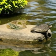thumbnail image 4 of Hytrove Plataforma De Resina Vivid Para Tortoise Con Refugio Y Rampa Delicada Para Terrarios, 4 of 6