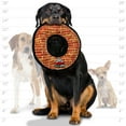 thumbnail image 5 of Tuffy Mega Ring Brick Durable Plush Squeaky Dog Toy, 5 of 8
