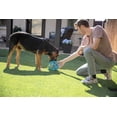 thumbnail image 4 of Chuckit! Hol-ee Roller Dog Ball, Treat Puzzle Toy for Dogs, Small 3.5", All Breeds, Pack of 1, Green, 4 of 4