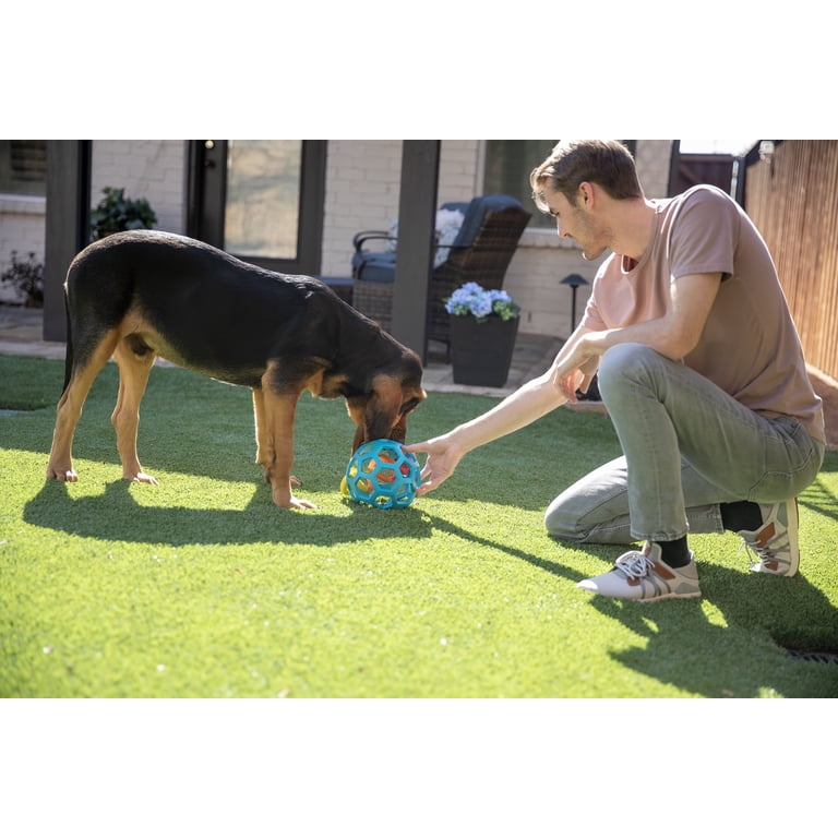 Chuckit! Hol-ee Roller Small Dog Ball Toy, Green photo 4