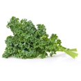 thumbnail image 2 of Kale Seeds (Dwarf CORNET&nbsp;Siberian Improved) (500+ Seeds), 2 of 3